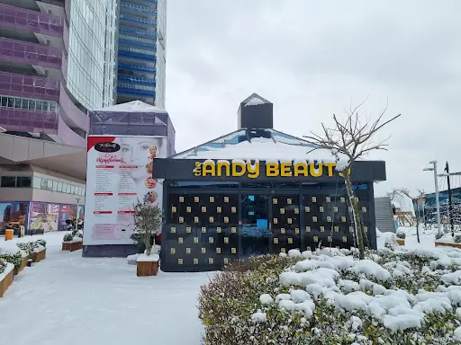The Andy Beauty fotoğraf 1