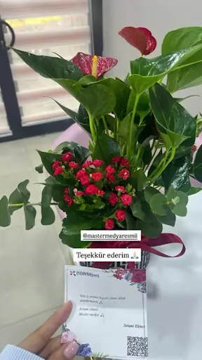 Sude Avcı beauty center fotoğraf 3