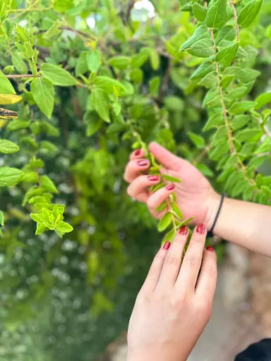 Kuaför Derya Karakoyunlu fotoğraf 1
