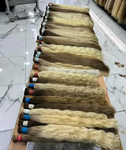 Butterfly Coiffeur fotoğraf 1