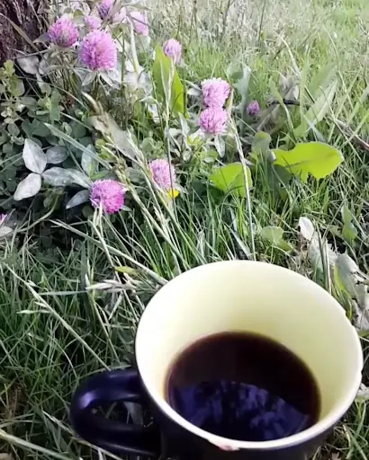 Kuaför Tuna Gelinlik fotoğraf 3